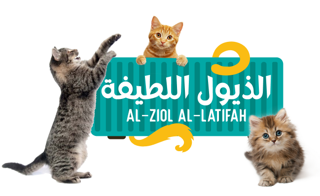 8f339f5b55c35103cb6a4a1a84a7298a